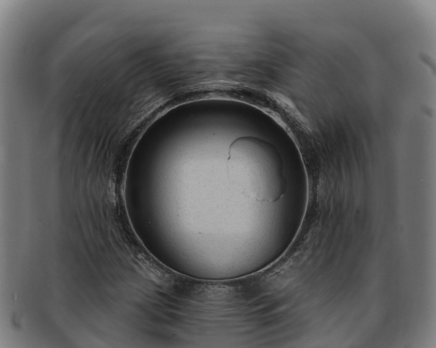 X0000091731209200708311154