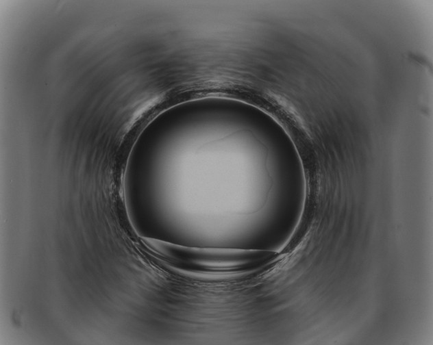 X0000091731210200708311154