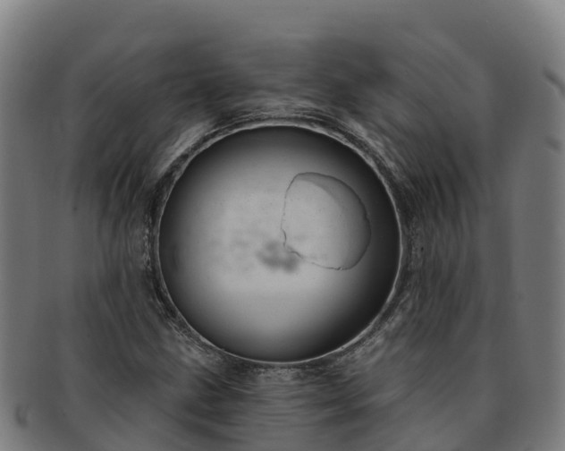 X0000091731211200708311154