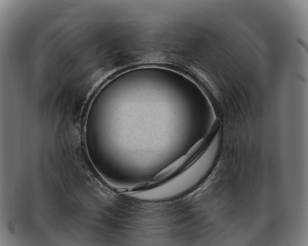 X0000091731212200708311154