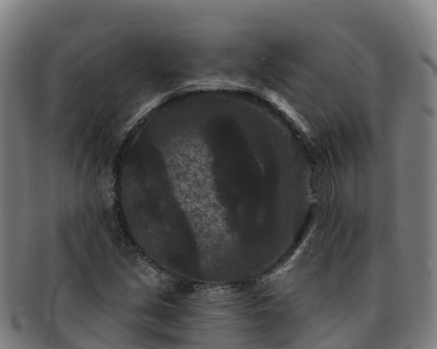X0000091731213200708311154