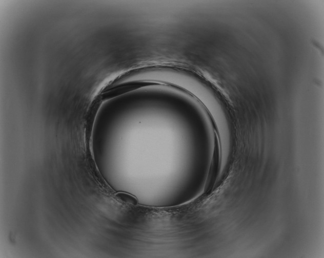 X0000091731214200708311154