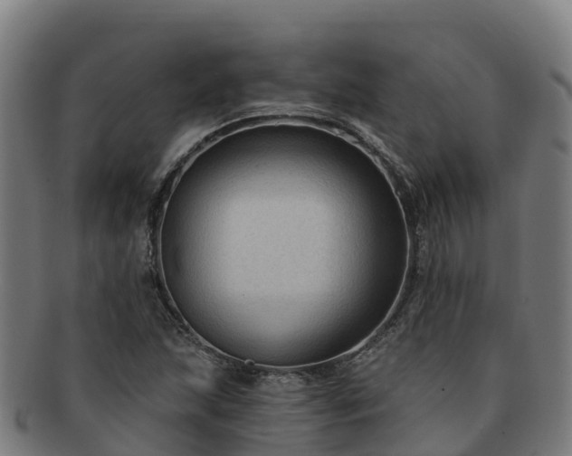 X0000091731215200708311154