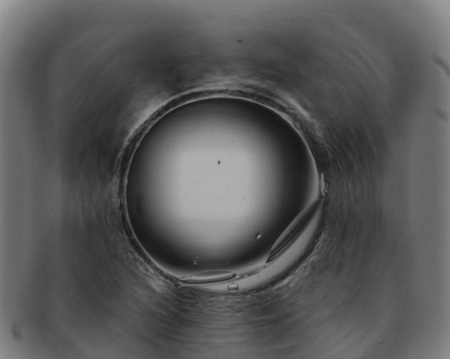 X0000091731216200708311154