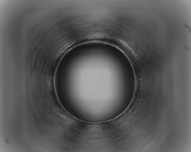 X0000091731217200708311154