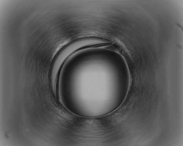 X0000091731218200708311154