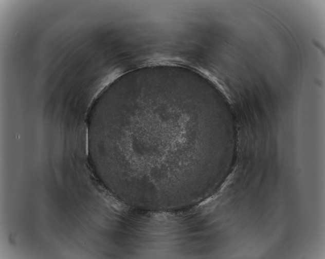 X0000091731219200708311154
