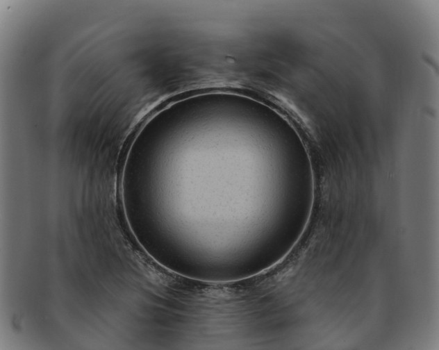 X0000091731220200708311154