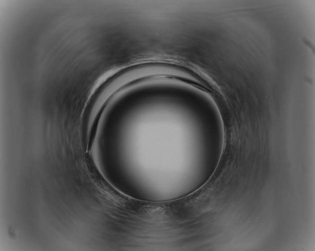X0000091731222200708311154