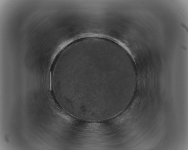 X0000091731223200708311154