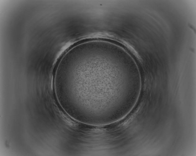 X0000091731224200708311154