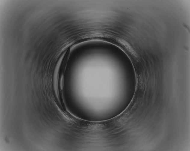X0000091731225200708311154