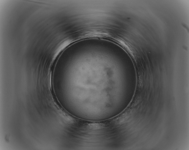 X0000091731227200708311154