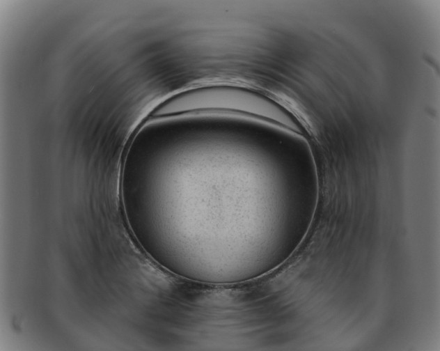 X0000091731228200708311154