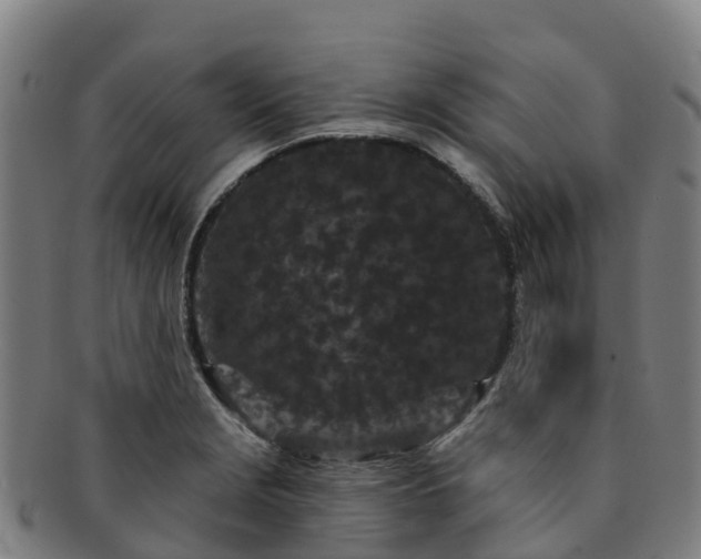 X0000091731229200708311154