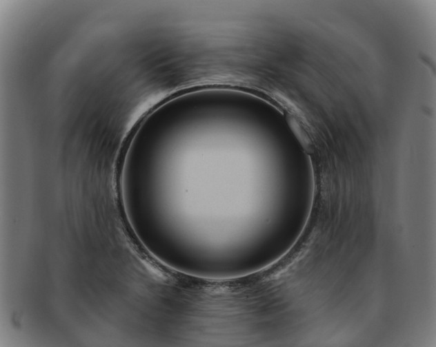 X0000091731230200708311154