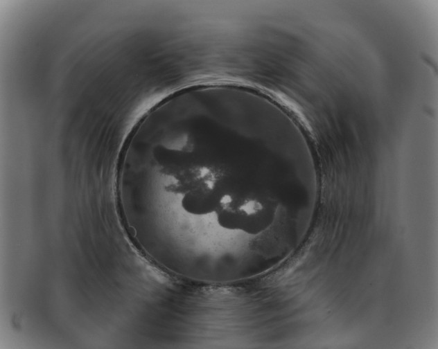 X0000091731231200708311154