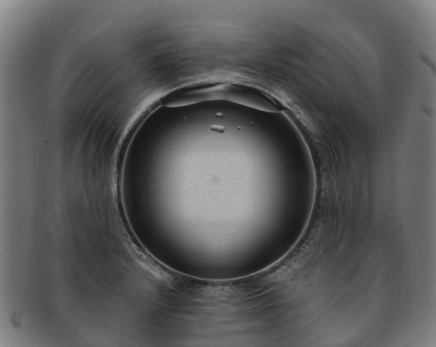 X0000091731232200708311154