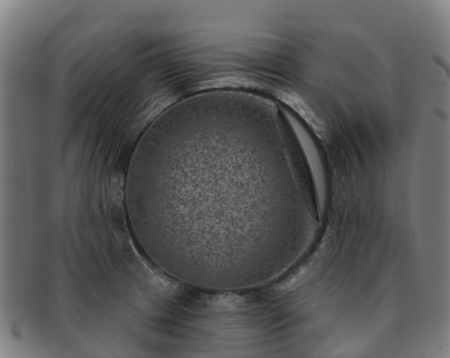 X0000091731233200708311154
