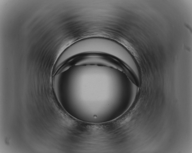 X0000091731234200708311154