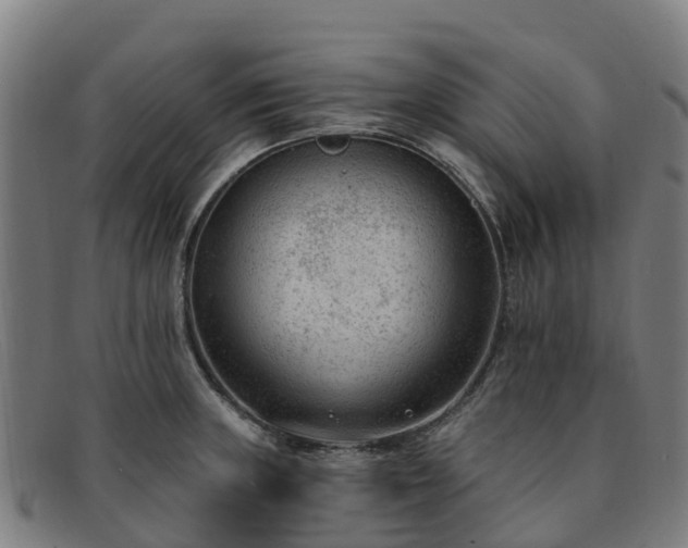 X0000091731235200708311154