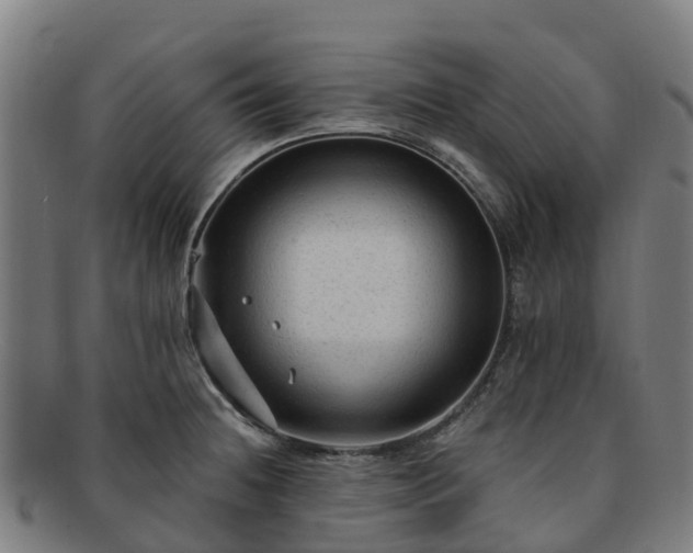 X0000091731236200708311154