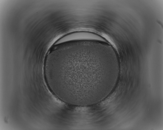 X0000091731237200708311154