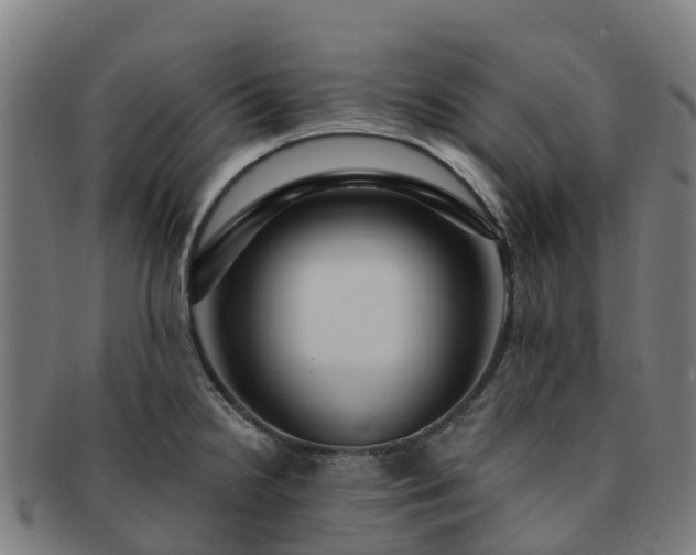 X0000091731238200708311154