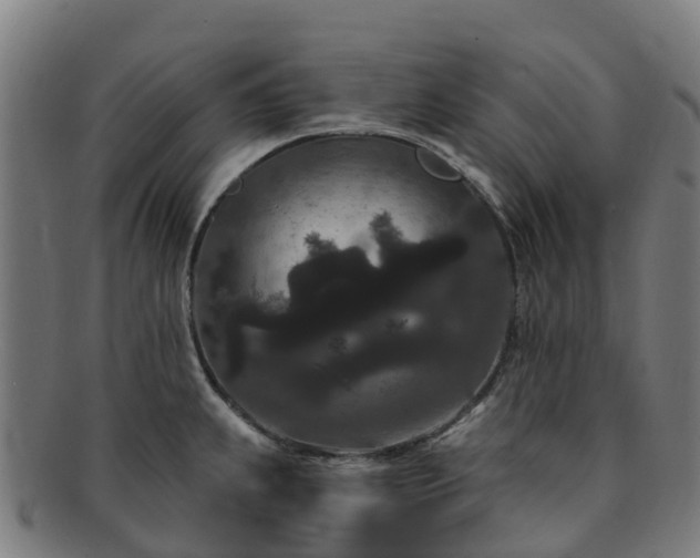 X0000091731239200708311154