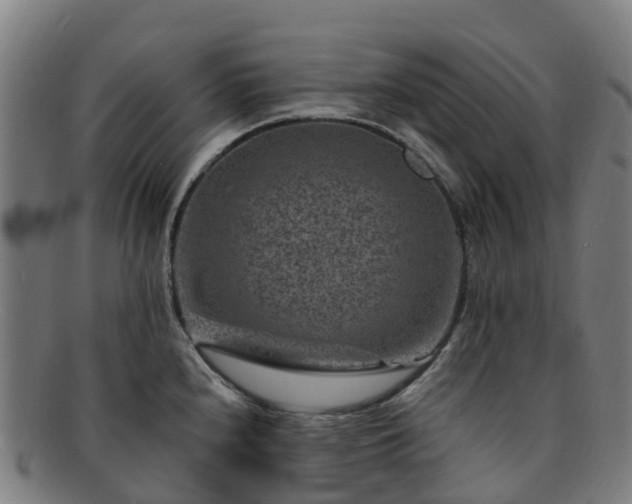 X0000091731240200708311154