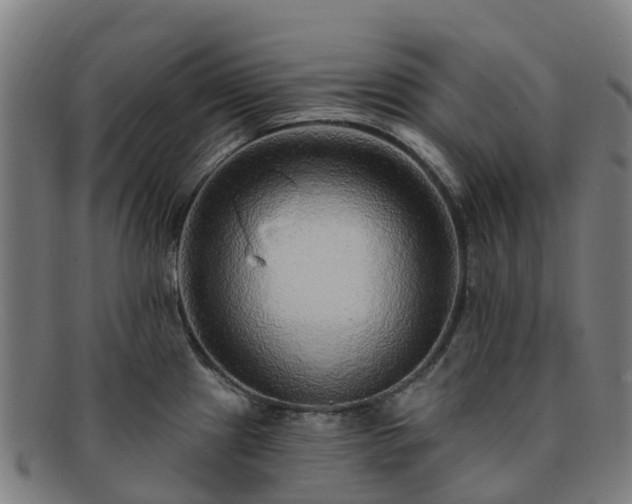 X0000091731241200708311154