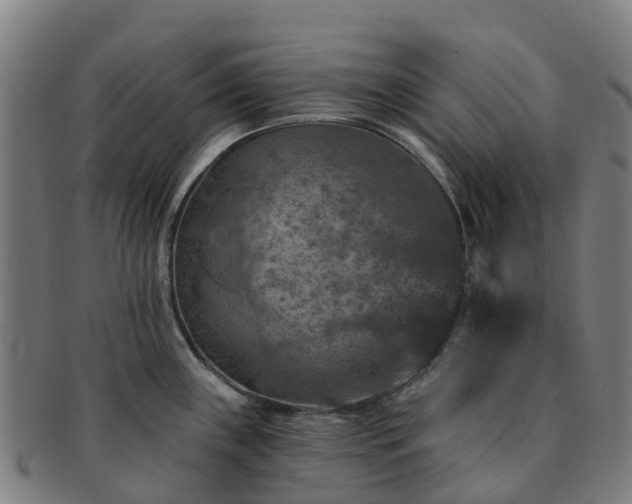 X0000091731243200708311154