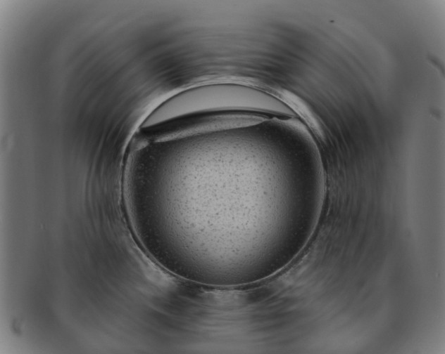 X0000091731244200708311154