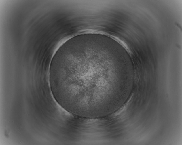X0000091731247200708311154