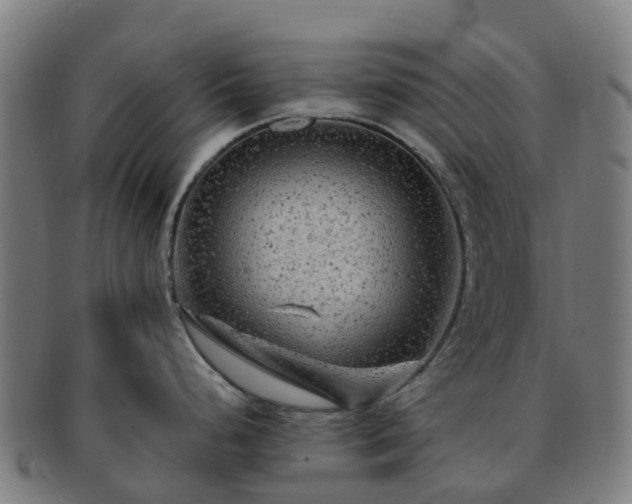 X0000091731248200708311154
