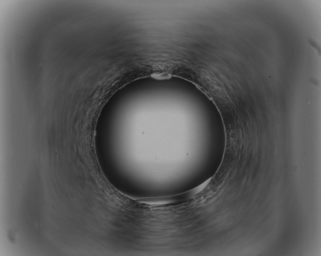 X0000091731249200708311153
