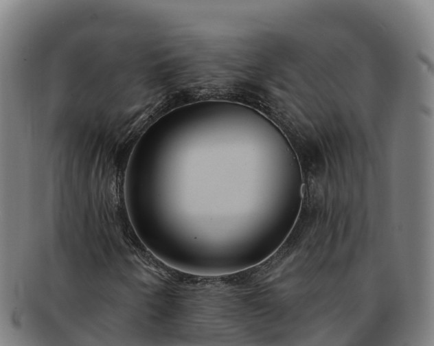 X0000091731250200708311153