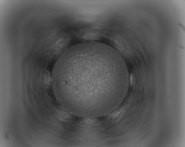 X0000091731251200708311153