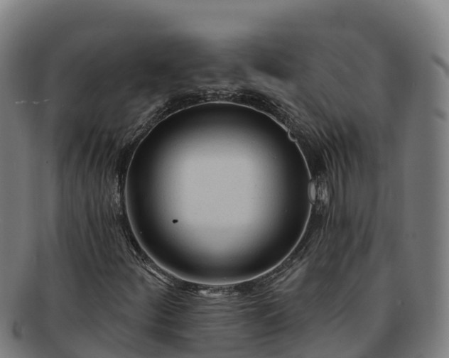 X0000091731252200708311153