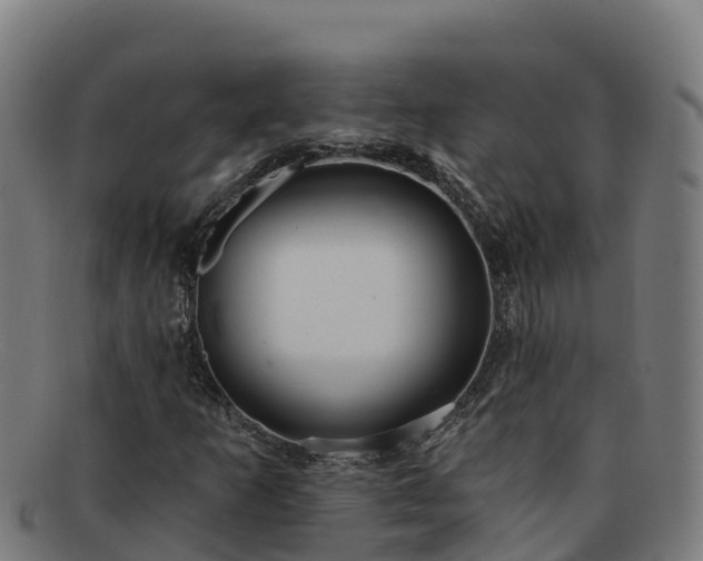 X0000091731253200708311153