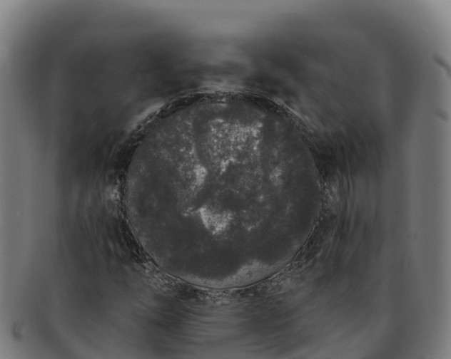 X0000091731254200708311153