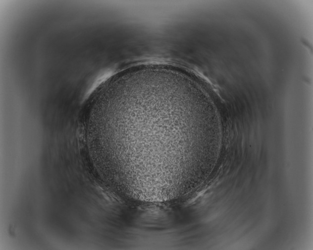 X0000091731255200708311153