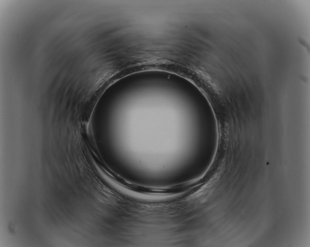 X0000091731257200708311153