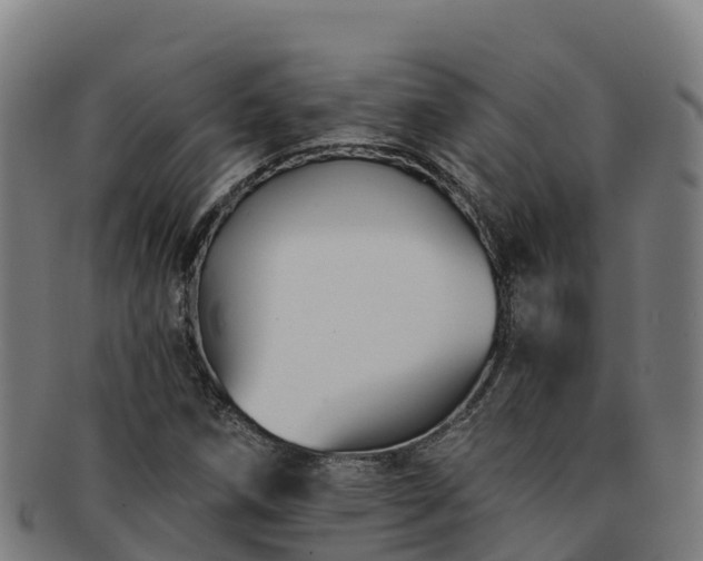 X0000091731258200708311153