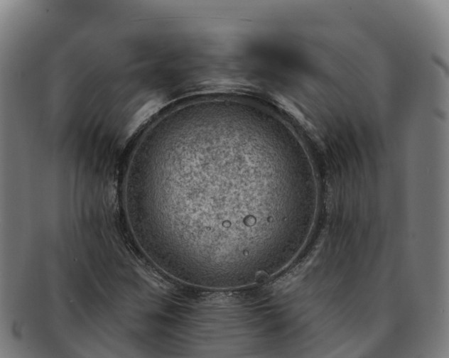 X0000091731259200708311153
