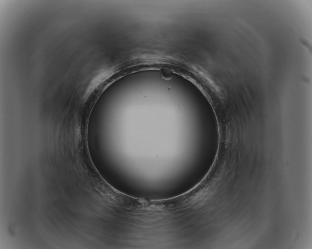 X0000091731261200708311153