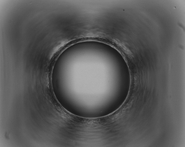 X0000091731262200708311153