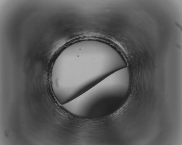 X0000091731263200708311153