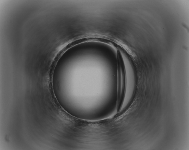 X0000091731264200708311153