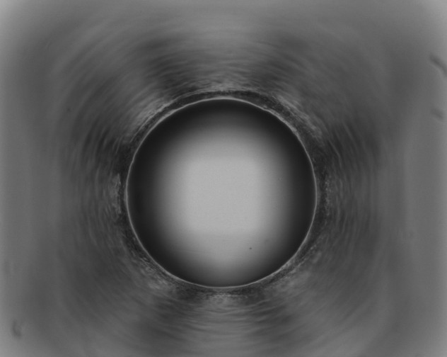 X0000091731265200708311153